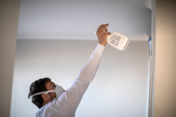 Best Attic Mold Removal  in Millis Clicquot, MA