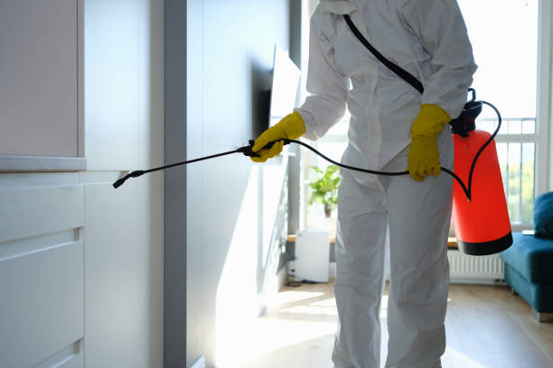 Best Residential Mold Removal  in Millis Clicquot, MA