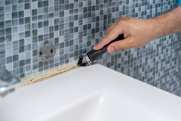 Best Toxic Mold Removal  in Millis Clicquot, MA